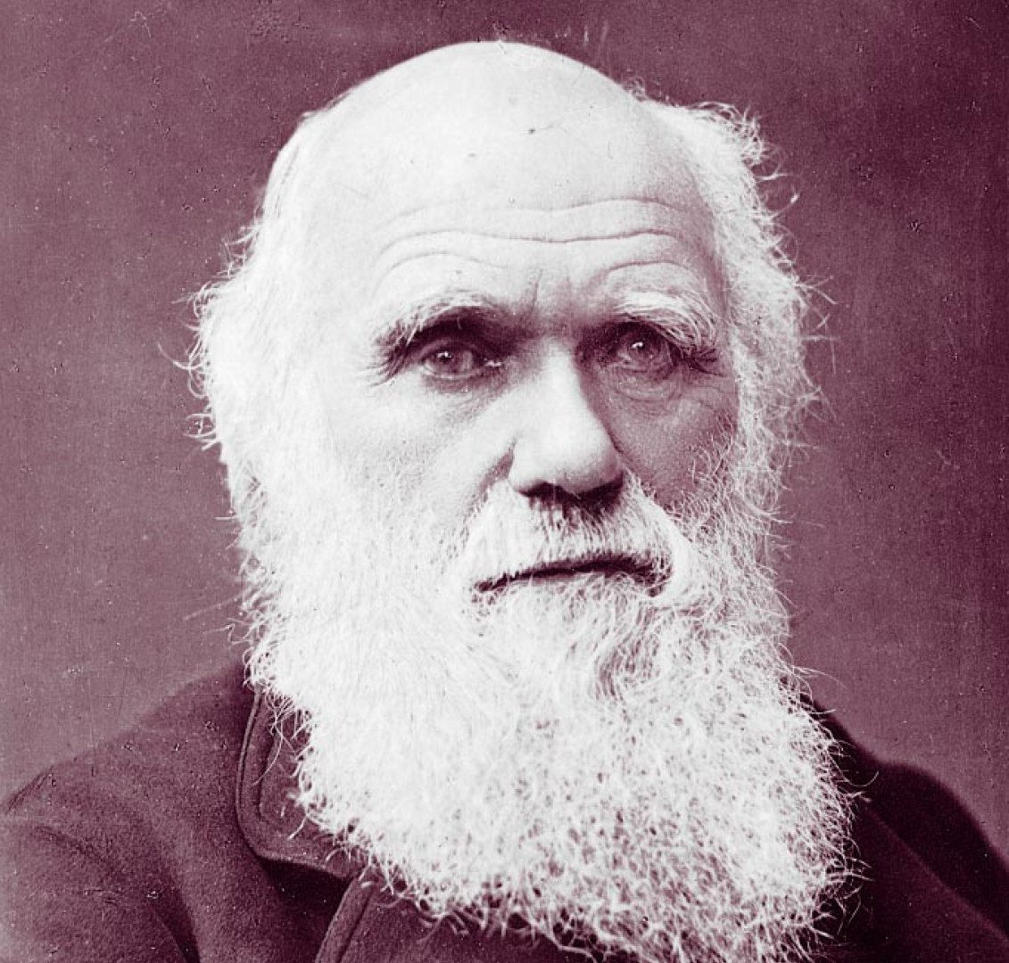 What did charles darwin discover?   yourdictionary